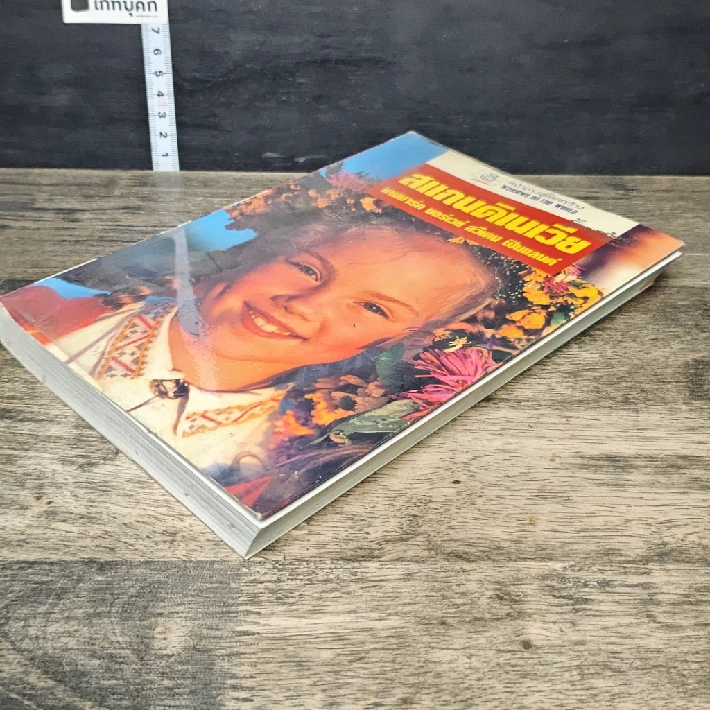 หนังสือ หน้าต่างสู่โลกกว้าง สแกนดิเนเวีย เดนมาร์ก นอร์เวย์ สวีเดน ฟินแลนด์ รูปที่ 3