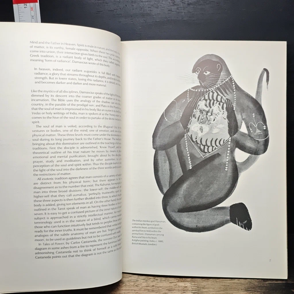 หนังสือ Subtle Body รูปที่ 8