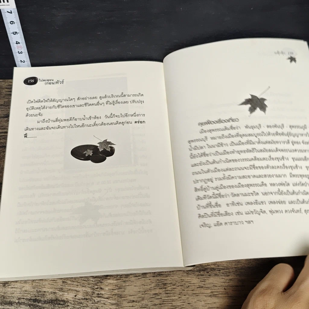 หนังสือ ไปตะลอน(ก่อน)ทัวร์ รูปที่ 8