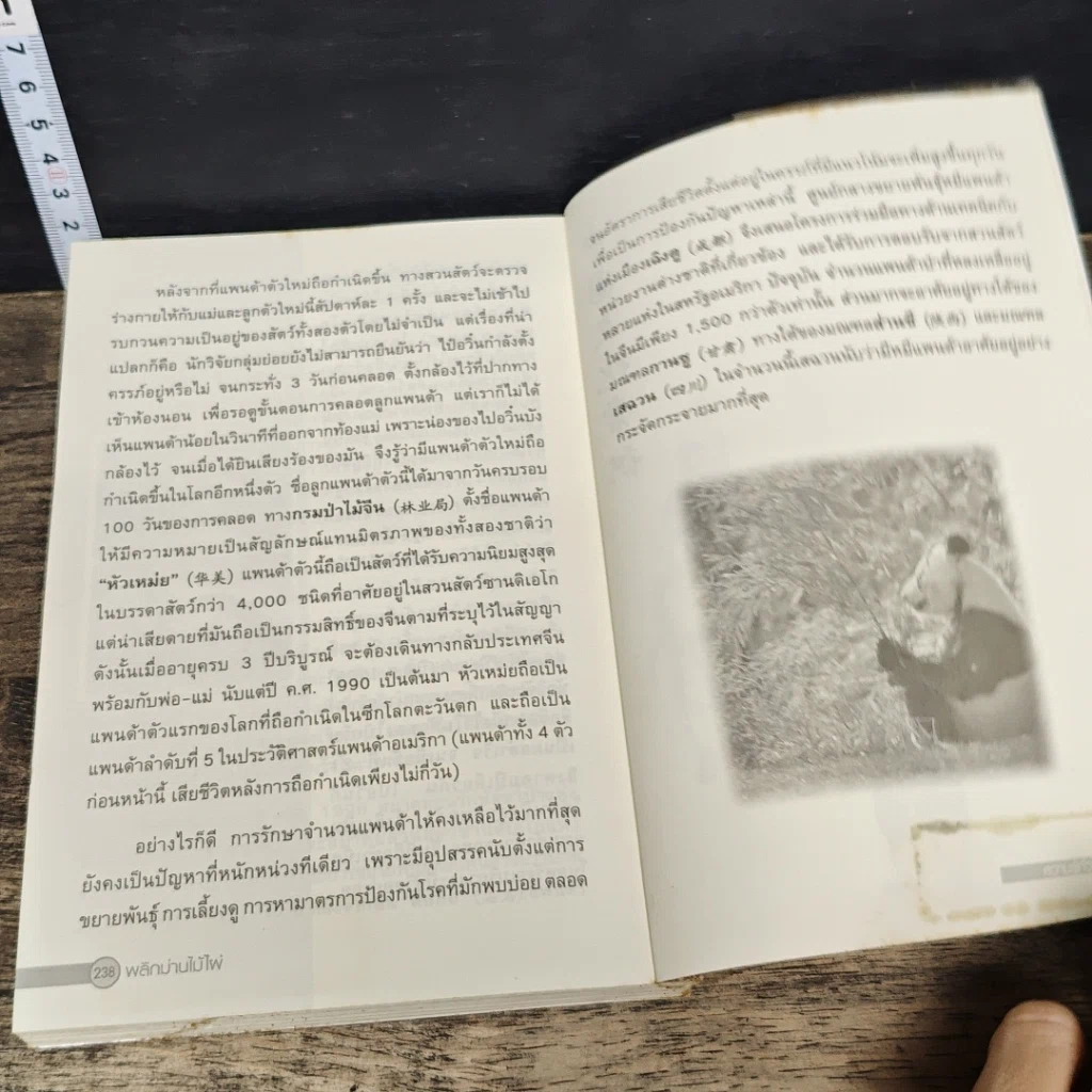 หนังสือ พลิกม่านไม้ไผ่ ปกิณกะประวัติศาสตร์ และวัฒนธรรมจีน รูปที่ 8