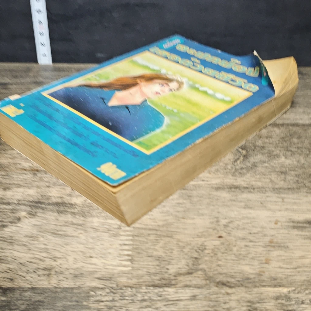 หนังสือ จะปกป้องเธอด้วยชีวิต เล่ม 2 รูปที่ 3