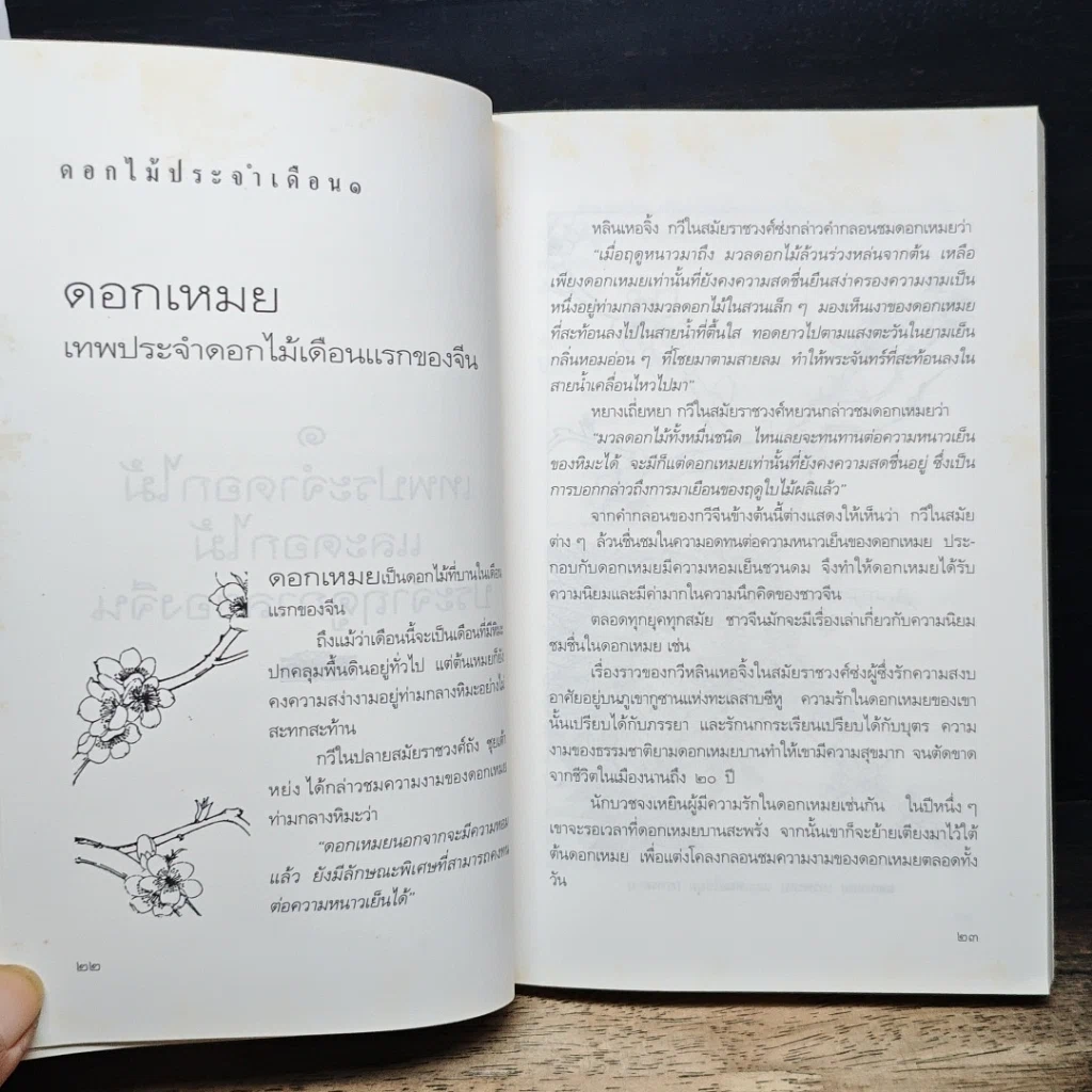 หนังสือ มิ่งไม้มาลีจีน รูปที่ 9