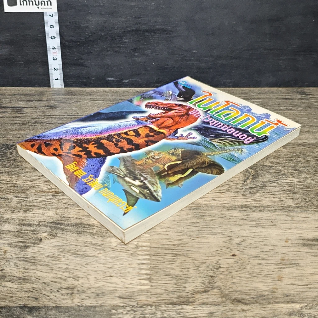 หนังสือ ในโลกนี้มีอะไรซุกซ่อนอยู่ รูปที่ 3