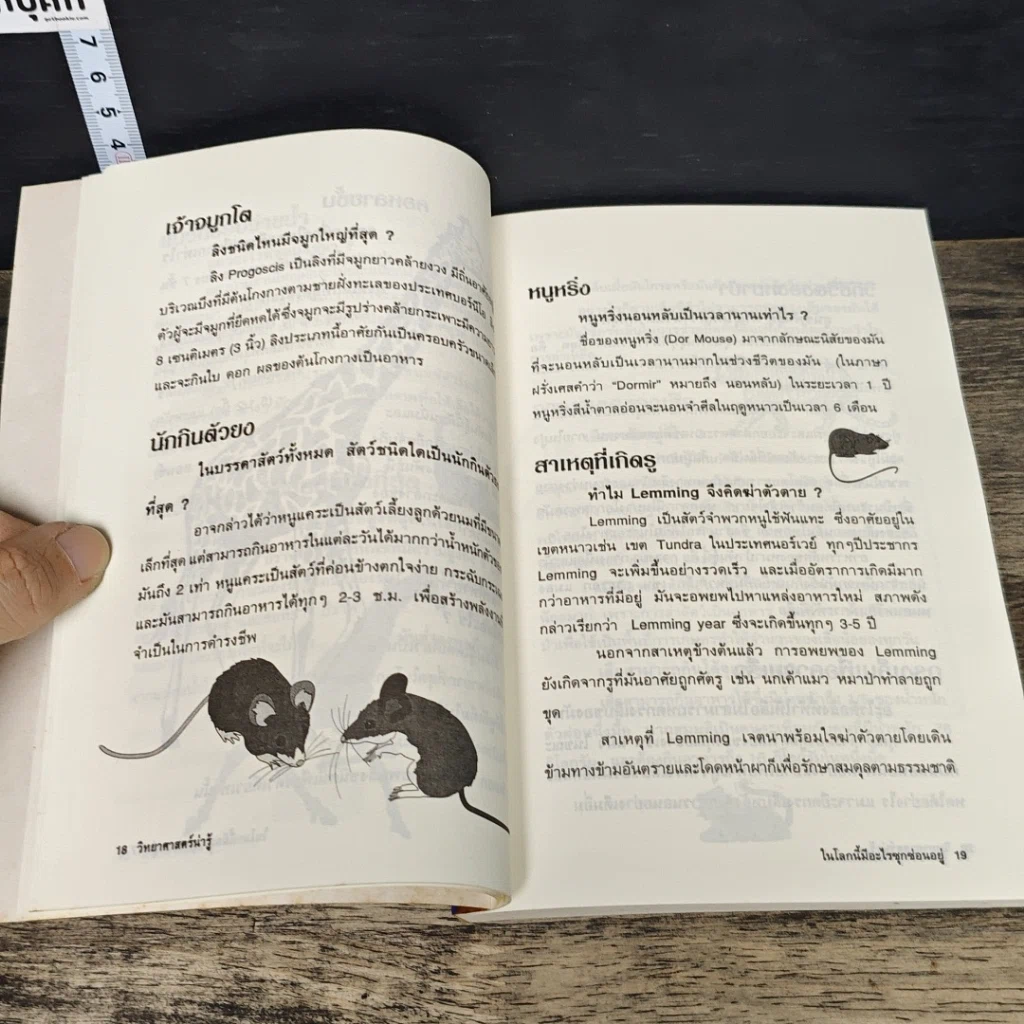 หนังสือ ในโลกนี้มีอะไรซุกซ่อนอยู่ รูปที่ 8