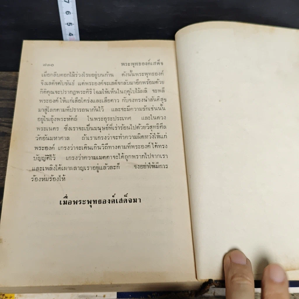 หนังสือ พระพุทธองค์เสด็จ รูปที่ 8
