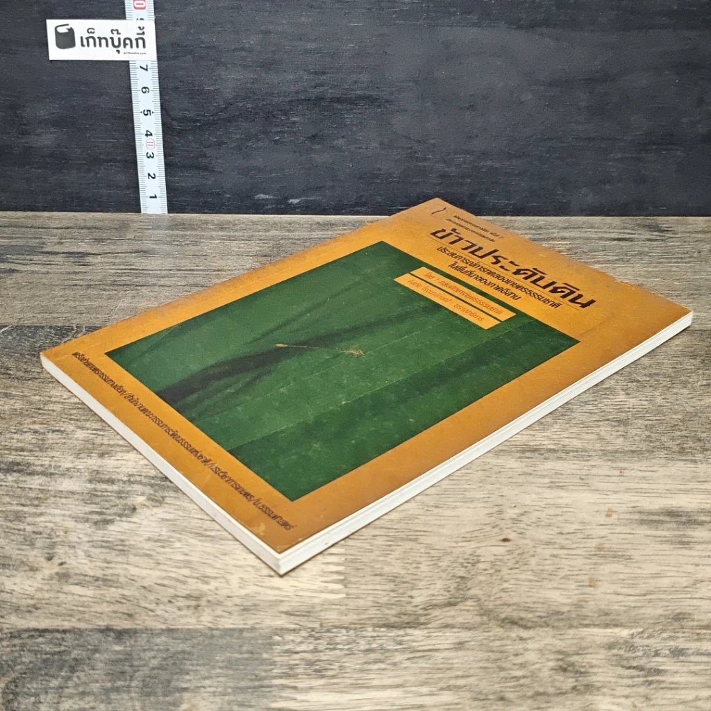 หนังสือ ข้าวประดับดิน รูปที่ 3