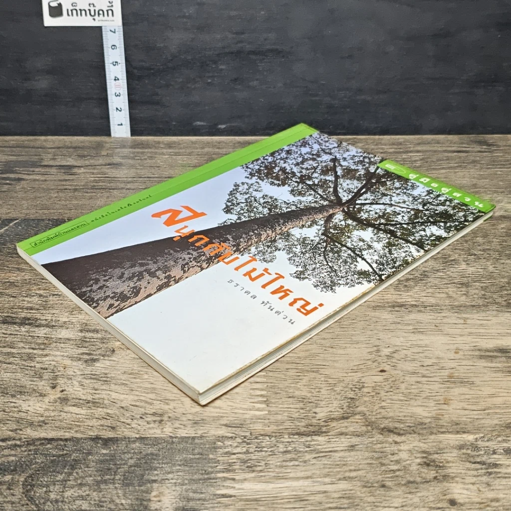 หนังสือ สนุกกับไม้ใหญ่ รูปที่ 3