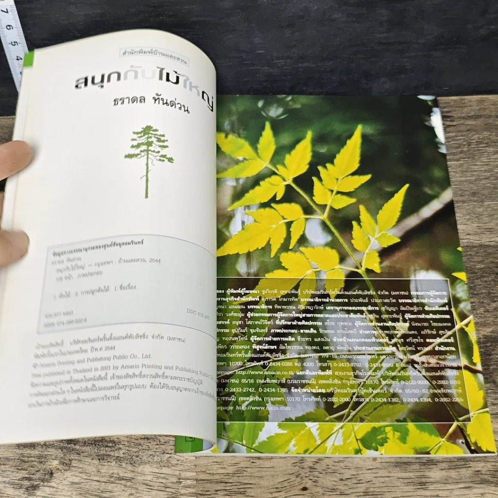 หนังสือ สนุกกับไม้ใหญ่ รูปที่ 6