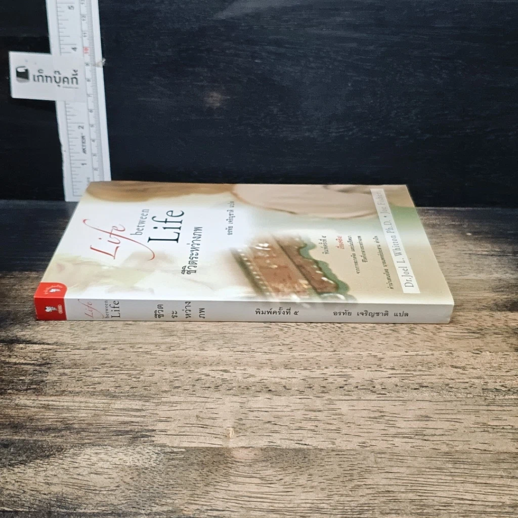 หนังสือ ชีวิตระหว่างภพ รูปที่ 3