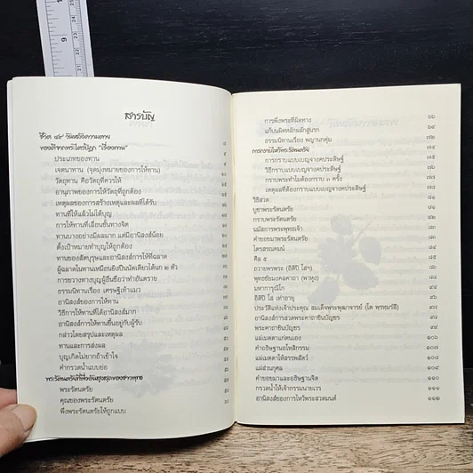 หนังสือ ของดีที่คนมองข้าม รูปที่ 7