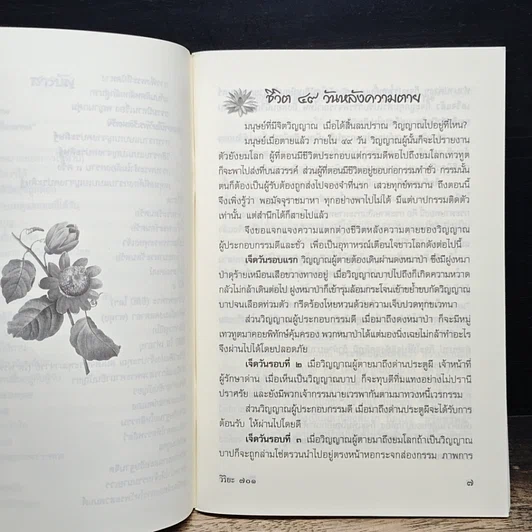 หนังสือ ของดีที่คนมองข้าม รูปที่ 8
