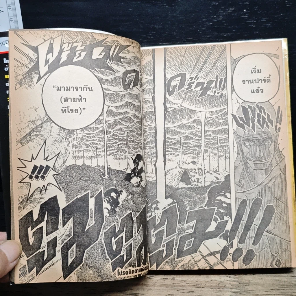 หนังสือ One Piece วันพีช วันพีซ เล่ม 30 รูปที่ 10