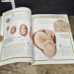 หนังสือ 100 เรื่องน่ารู้เกี่ยวกับร่างกายของเรา รูปที่ 7