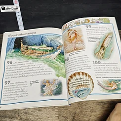 หนังสือ 100 เรื่องน่ารู้เกี่ยวกับมหาสมุทร รูปที่ 8