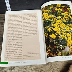 หนังสือ เขียนเรื่องดอกไม้ไว้อ่านเล่น เล่ม 3 รูปที่ 9