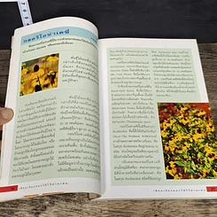 หนังสือ เขียนเรื่อง ดอกไม้ ไว้อ่านเล่น 1 รูปที่ 8