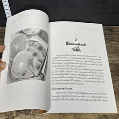 หนังสือ ส้มเม็ด ฟลาโวนอยด์และวิตามินซี สองพลังเสริมสุขภาพ รูปที่ 8