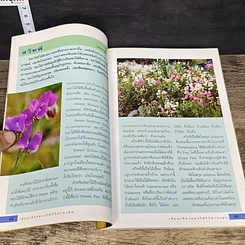 หนังสือ เขียนเรื่องดอกไม้ไว้อ่านเล่น เล่ม 4 รูปที่ 7