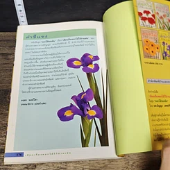 หนังสือ เขียนเรื่องดอกไม้ไว้อ่านเล่น เล่ม 4 รูปที่ 8