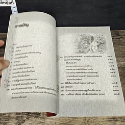 หนังสือ ล้านนาในมิติกาลเวลา รูปที่ 7