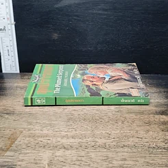 หนังสือ นิยายโรมานซ์ สุดปรารถนา รูปที่ 3