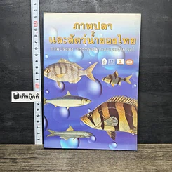 หนังสือ ภาพปลาและสัตว์น้ำของไทย