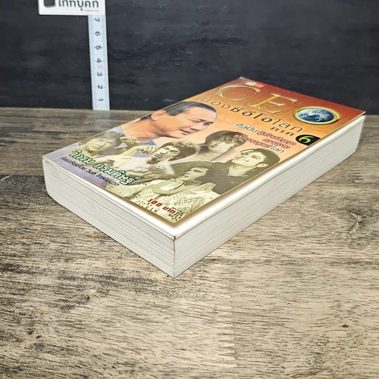 หนังสือ CEO มองซีอีโอโลก ภาค 6 รูปที่ 3