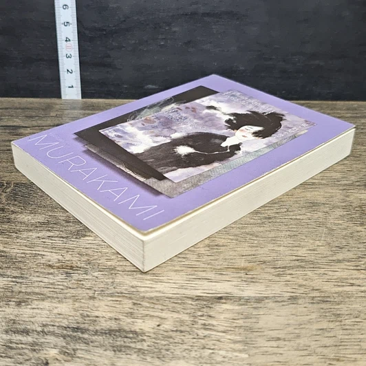 หนังสือ Firefly, Barn Burning and other stories เส้นแสงที่สูญหาย เราร้องไห้เงียบงัน รูปที่ 3