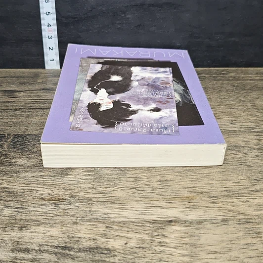 หนังสือ Firefly, Barn Burning and other stories เส้นแสงที่สูญหาย เราร้องไห้เงียบงัน รูปที่ 4