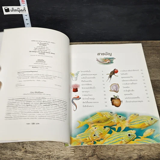 หนังสือ 100 เรื่องน่ารู้เกี่ยวกับมหาสมุทร รูปที่ 6