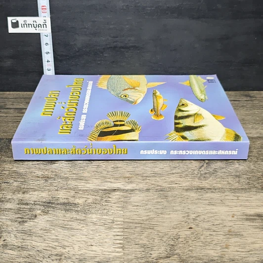 หนังสือ ภาพปลาและสัตว์น้ำของไทย รูปที่ 2