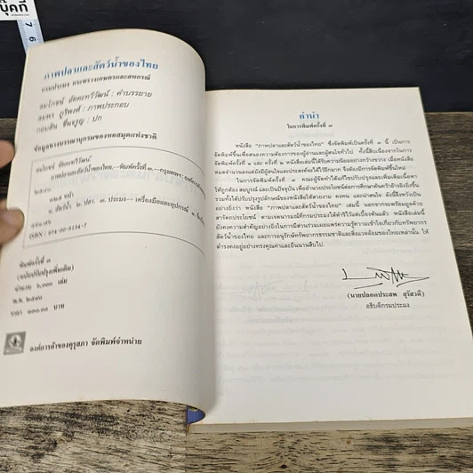 หนังสือ ภาพปลาและสัตว์น้ำของไทย รูปที่ 6