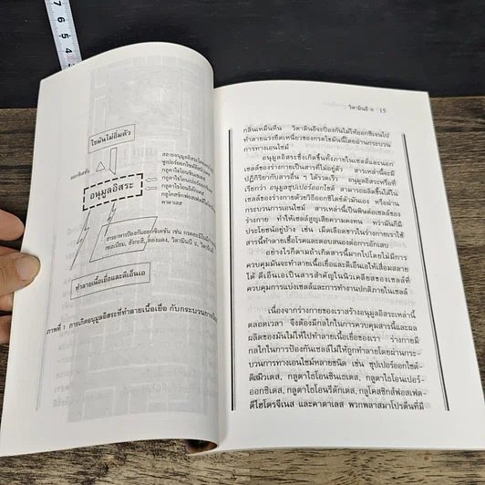 หนังสือ วิตามินอี บทบาทใหม่ในวงการสุขภาพ รูปที่ 8
