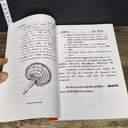 หนังสือ การเพาะเห็ดหลินจือ รูปที่ 8