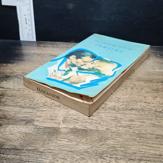 หนังสือ รักทระนง รูปที่ 4