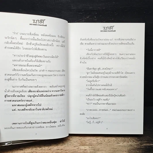 หนังสือ ชามี รูปที่ 8