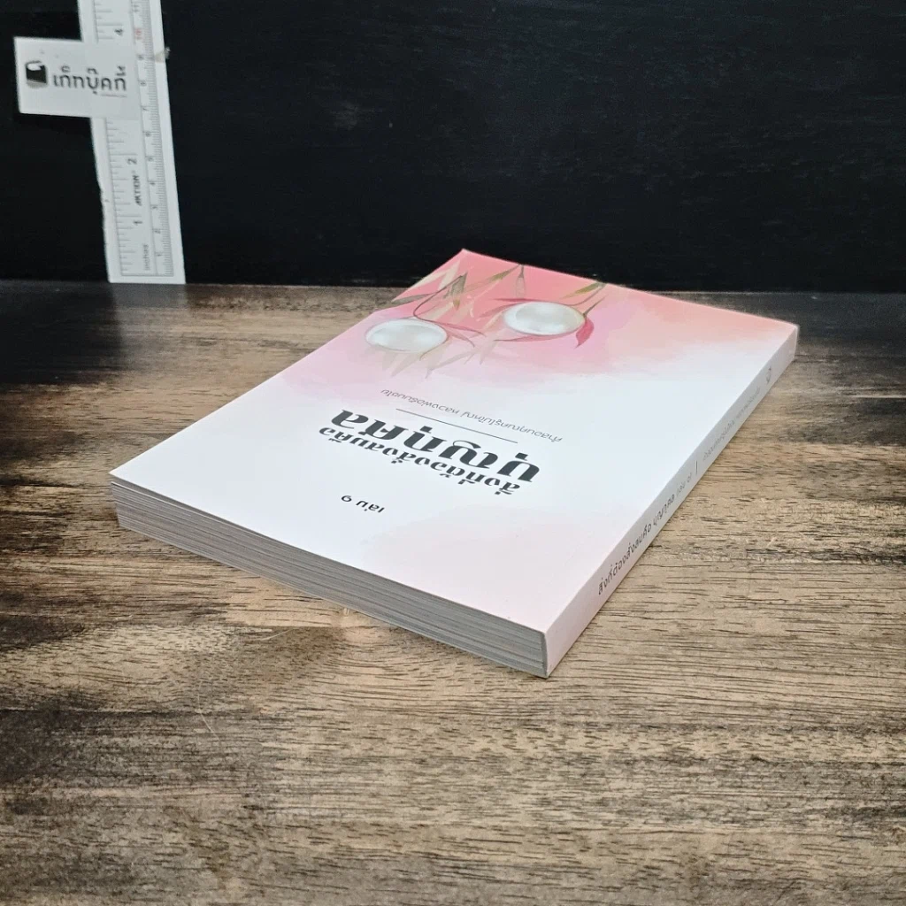หนังสือ สิ่งที่ต้องสั่งสมคือบุญกุศล เล่ม 1 รูปที่ 5