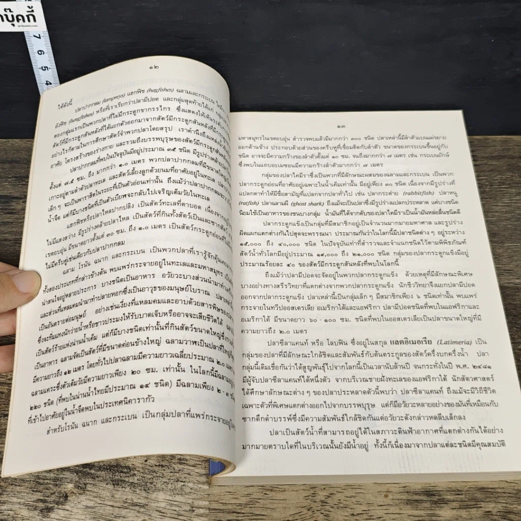 หนังสือ ภาพปลาและสัตว์น้ำของไทย รูปที่ 8