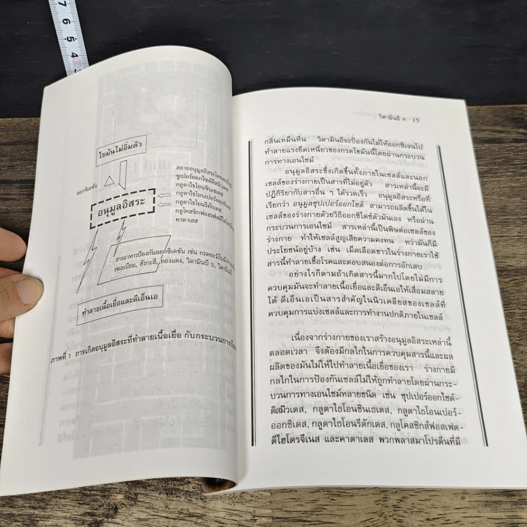 หนังสือ วิตามินอี บทบาทใหม่ในวงการสุขภาพ รูปที่ 8