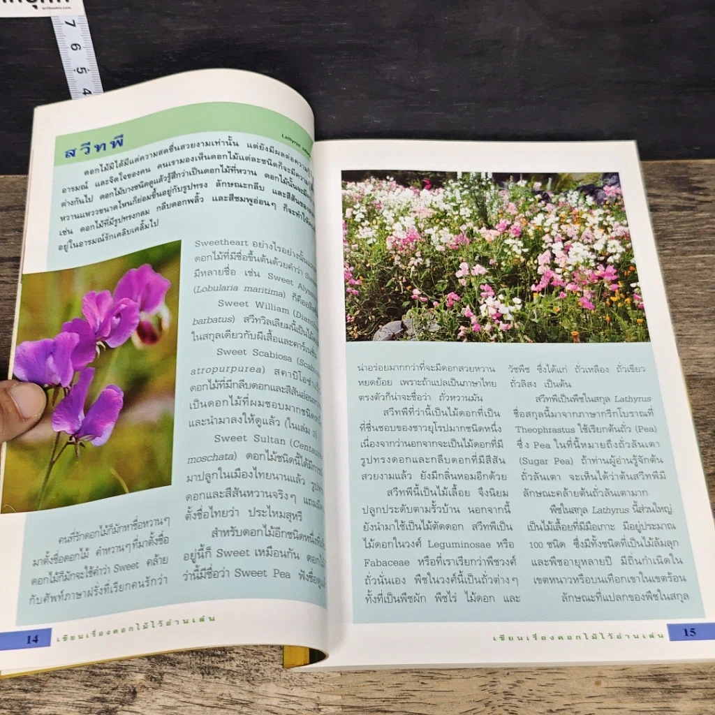 หนังสือ เขียนเรื่องดอกไม้ไว้อ่านเล่น เล่ม 4 รูปที่ 7