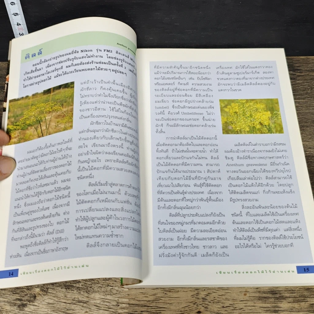 หนังสือ เขียนเรื่องดอกไม้ไว้อ่านเล่น เล่ม 2 รูปที่ 9
