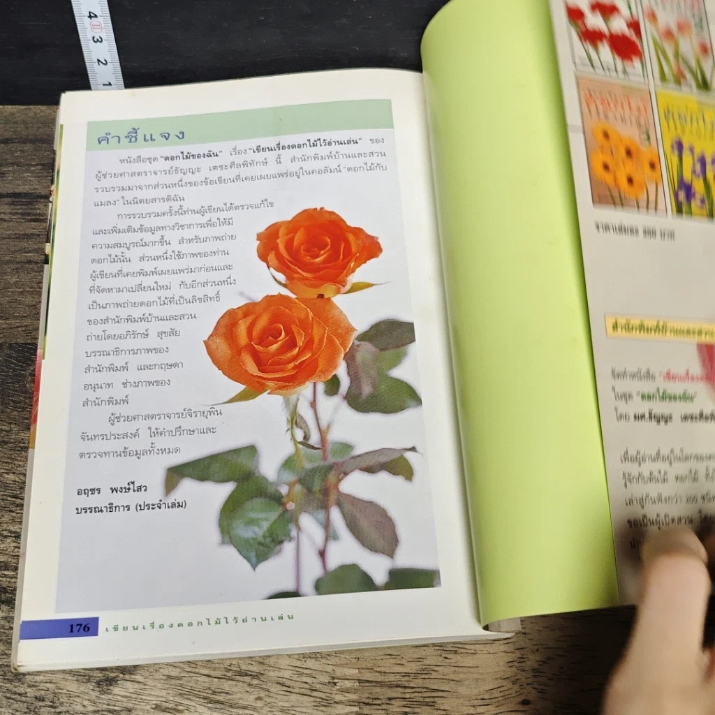 หนังสือ เขียนเรื่องดอกไม้ไว้อ่านเล่น เล่ม 2 รูปที่ 10