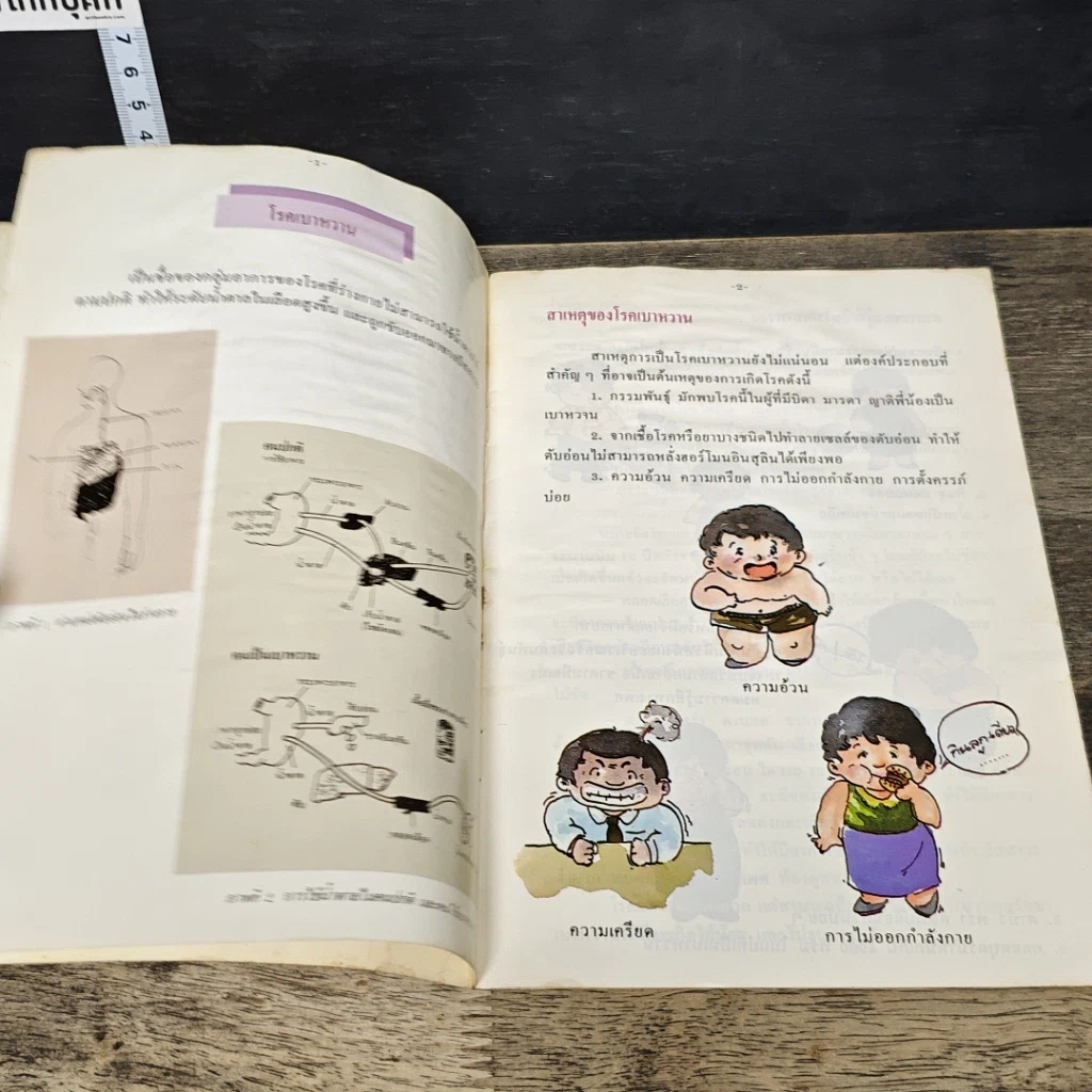 หนังสือ ความรู้เรื่องโรค เบาหวาน รูปที่ 7