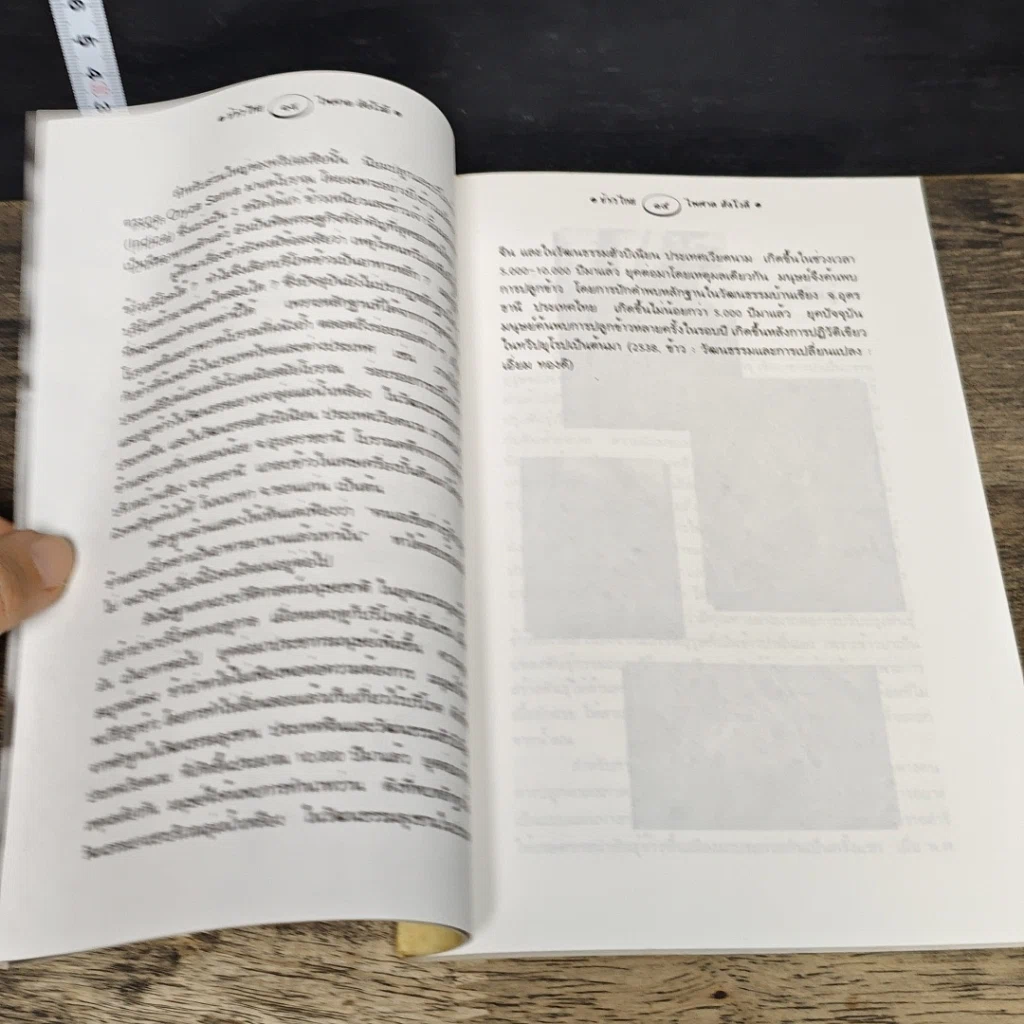 หนังสือ ข้าวไทย จากนาธรรมชาติสู่ข้าวปลอดสารเคมี รูปที่ 7
