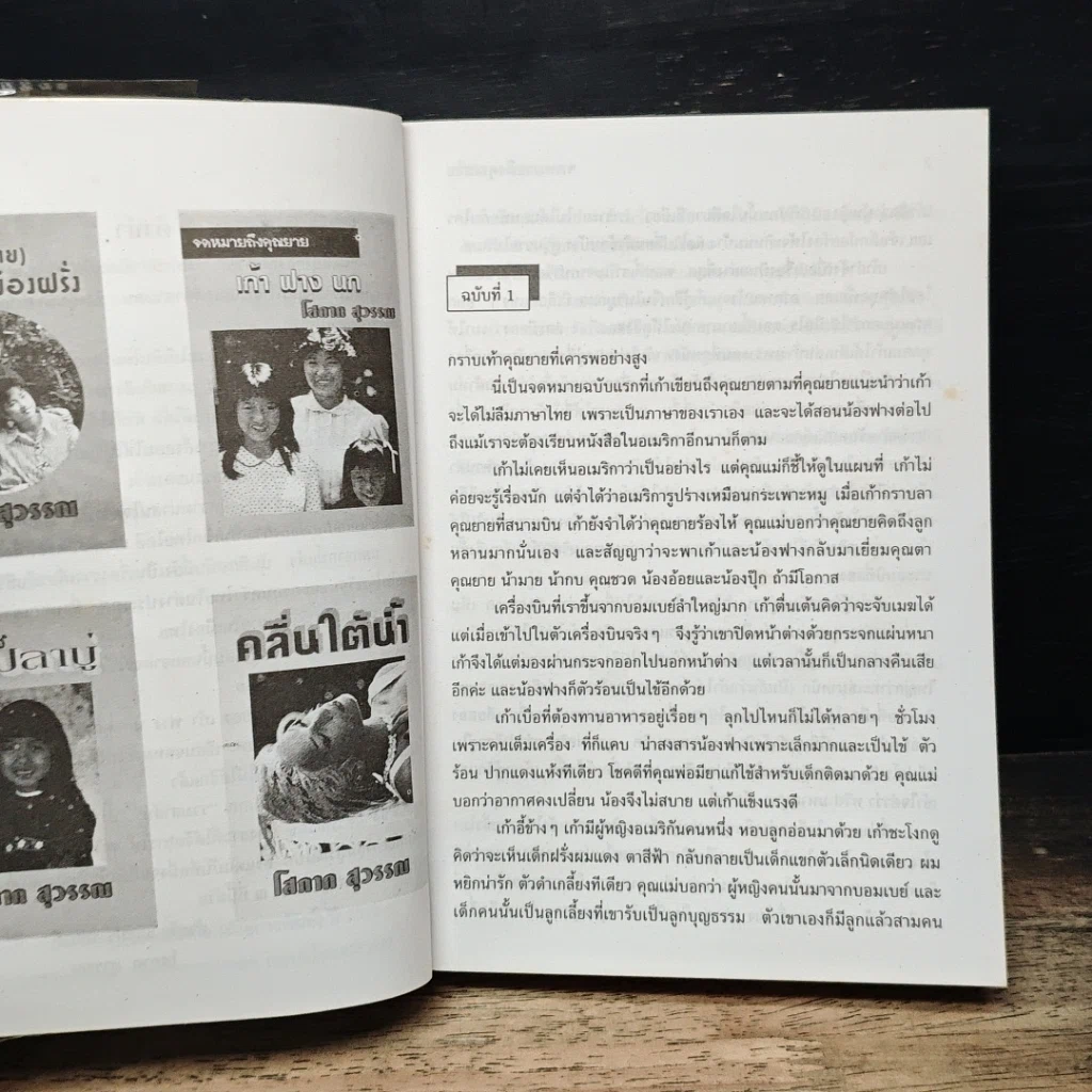 หนังสือ จดหมายถึงคุณยาย เก้า ฟาง นก รูปที่ 7