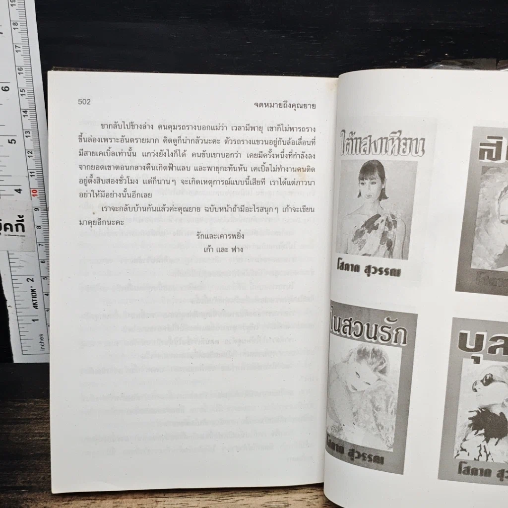 หนังสือ จดหมายถึงคุณยาย เก้า ฟาง นก รูปที่ 8