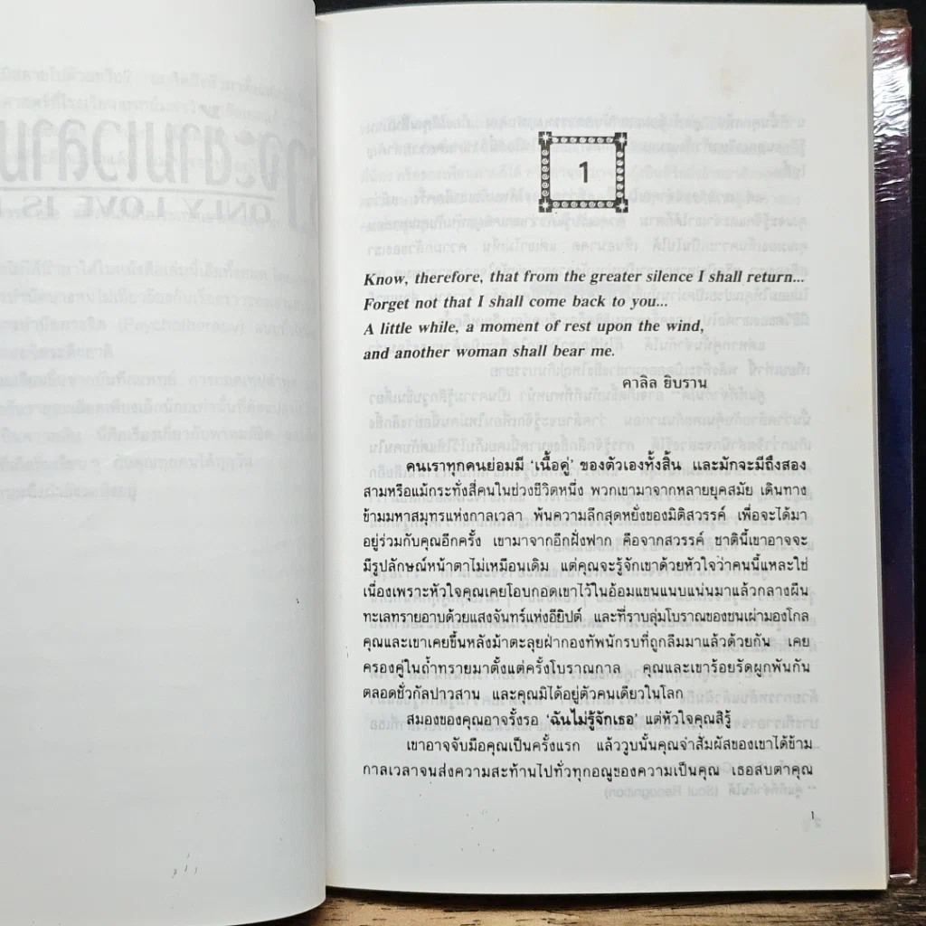 หนังสือ เราจะข้ามเวลามาพบกัน รูปที่ 8