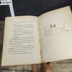 หนังสือ ท่า ศิลปะการอ่านและการใช้ภาษากาย รูปที่ 9