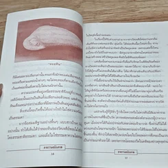 หนังสือ อาถรรพณ์บันดาล รูปที่ 9