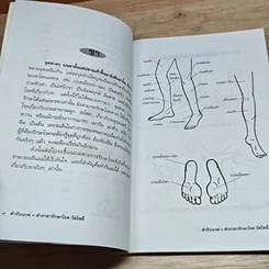 หนังสือ ตำรับนวด ตำรายารักษาโรค วัดโพธิ์ รูปที่ 8